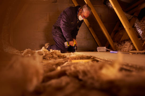 Types of Insulation We Offer in Dixon, CA